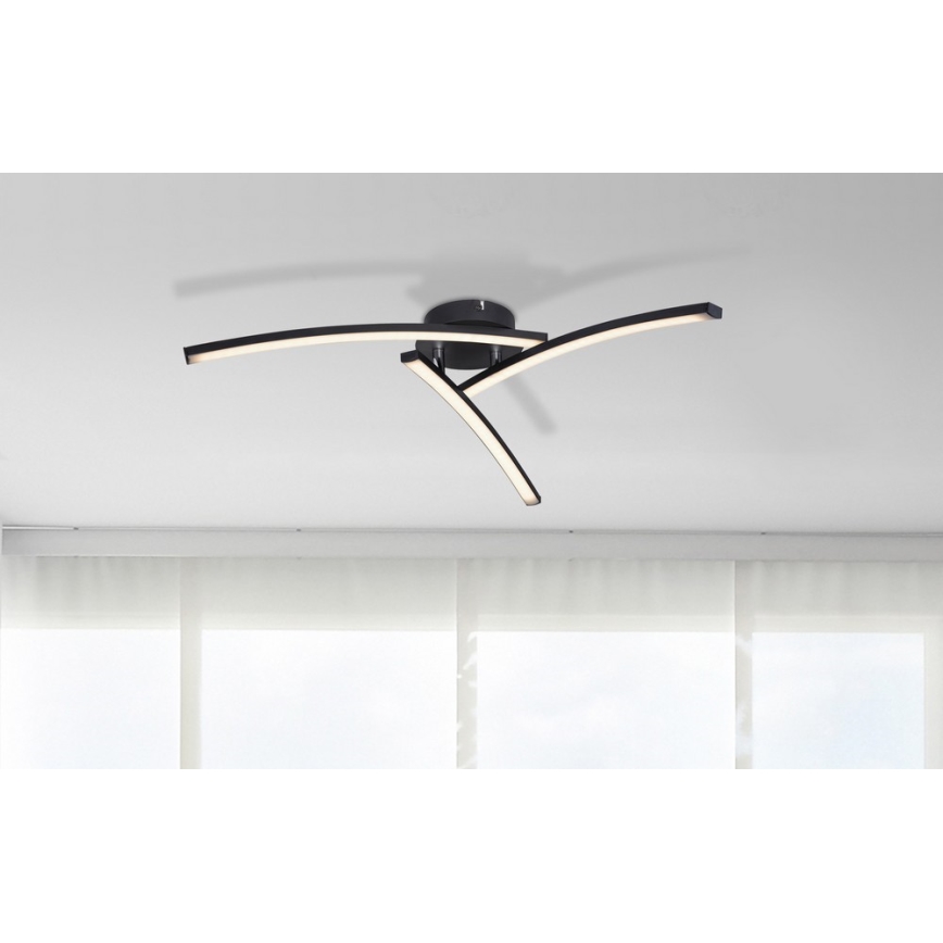 Globo - LED Nadgradni lestenec 3xLED/6W/230V 3000/4000/6000K