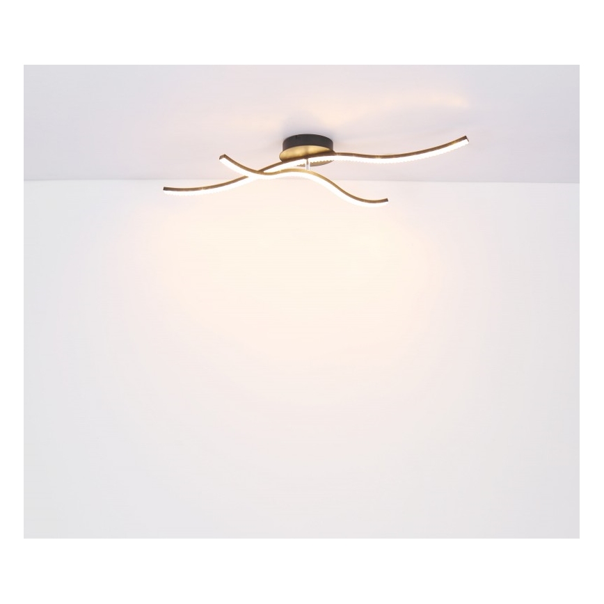 Globo - LED Lestenec LED/20W/230V