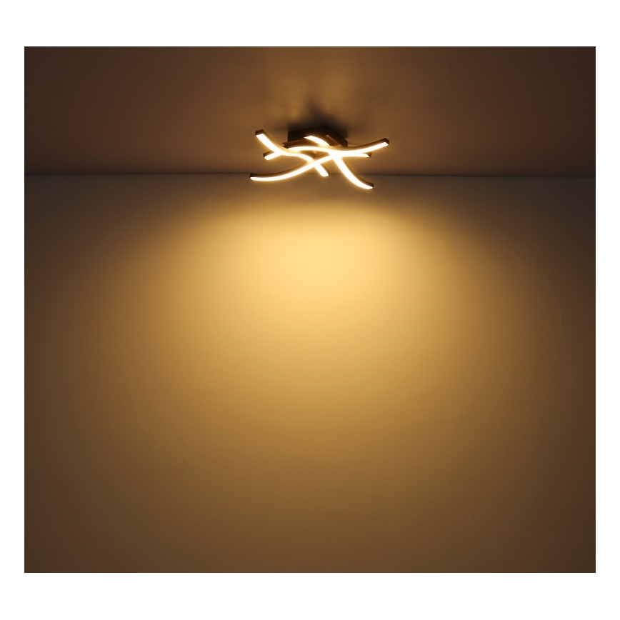 Globo - LED Lestenec 4xLED/5W/230V