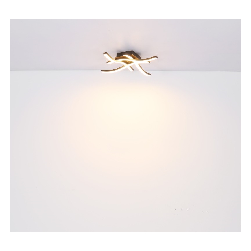 Globo - LED Lestenec 4xLED/5W/230V