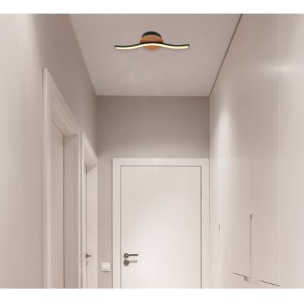 Globo - LED Stropna svetilka LED/6W/230V