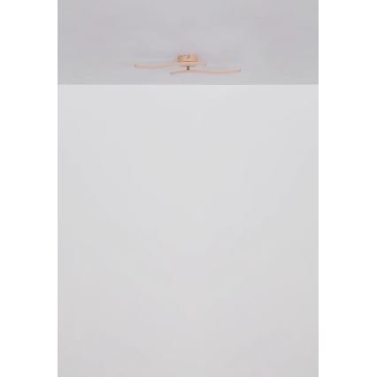 Globo - LED Lestenec LED/12W/230V 3000K oranžna