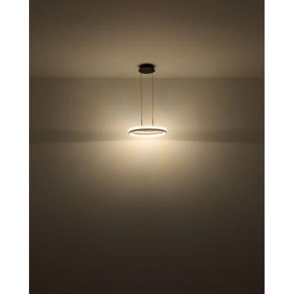 Globo - LED Lestenec na vrvici LED/40W/230V 3000/4000/6000K pr. 39,7 cm rjava