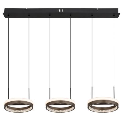 Globo - LED lestenec na tankem jeklenem kablu LED/40W/230V 3000/4000/6000K