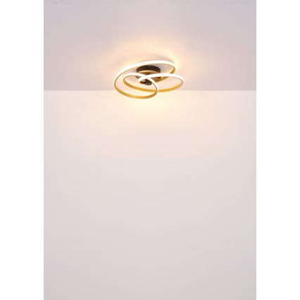 Globo - LED Lestenec LED/40W/230V 3000K mat krom/črna