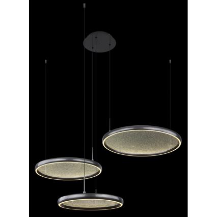 Globo - LED Zatemnitveni lestenec na vrvici LED/55W/230V 2700-6000K črna + Daljinski upravljalnik