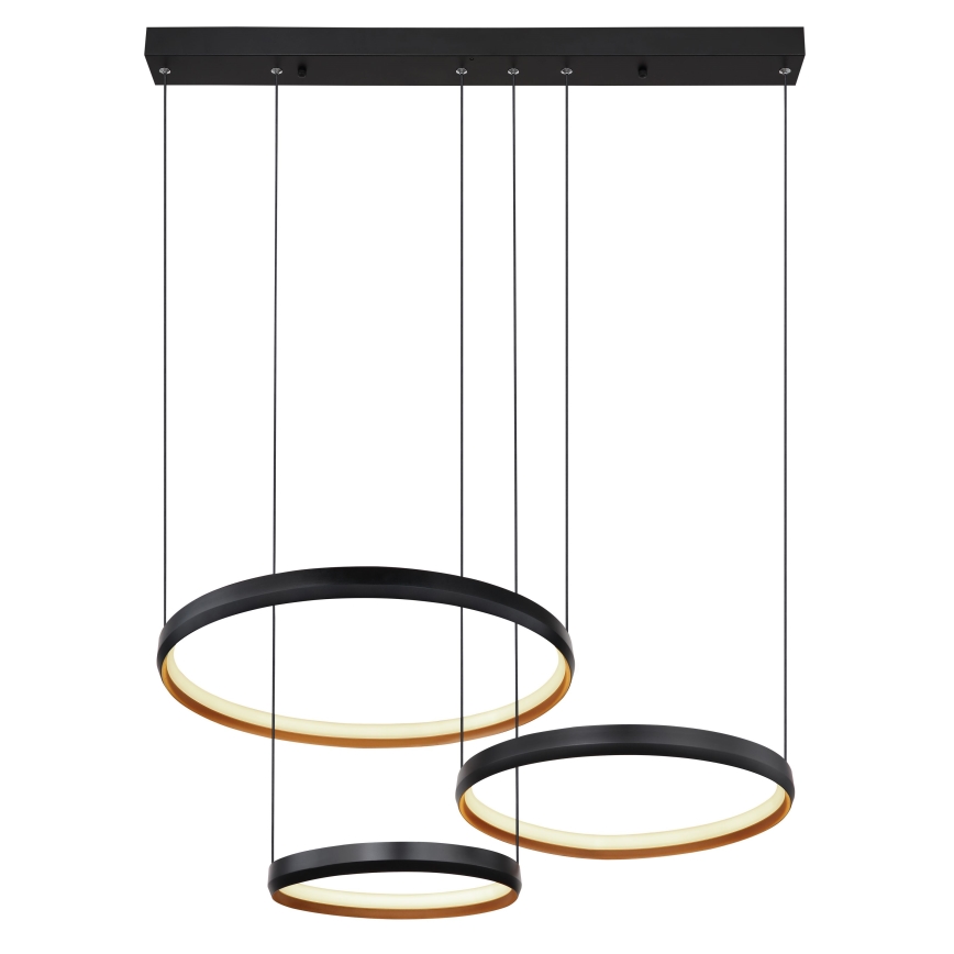 Globo - LED Zatemnitveni lestenec na vrvici LED/55W/230V 2700-6000K + Daljinski upravljalnik