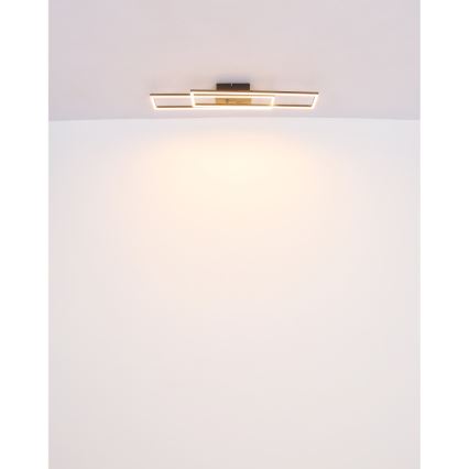 Globo - LED Stropna svetilka LED/30W/230V 3000K 60x80 cm črna