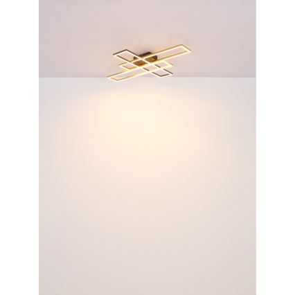 Globo - LED Stropna svetilka LED/30W/230V 3000K 60x80 cm črna/zlata