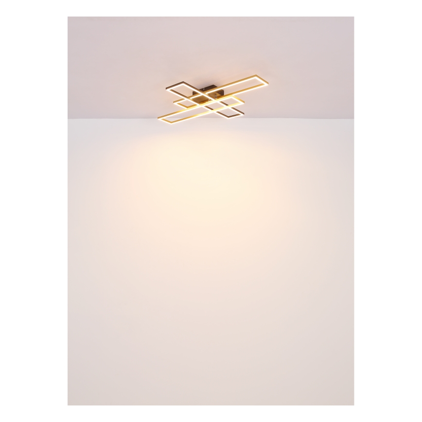 Globo - LED Stropna svetilka LED/30W/230V 3000K 60x80 cm črna/zlata