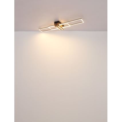 Globo - LED Stropna svetilka LED/40W/230V 3000K 25x100 cm črna