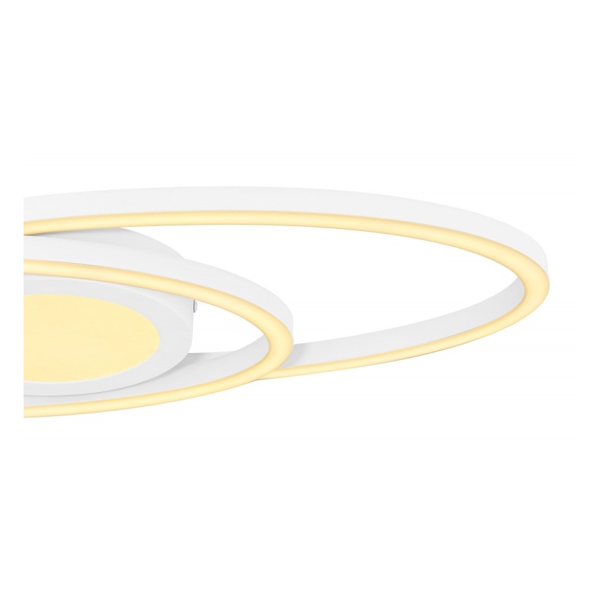 Globo - LED Stropna svetilka LED/24W/230V