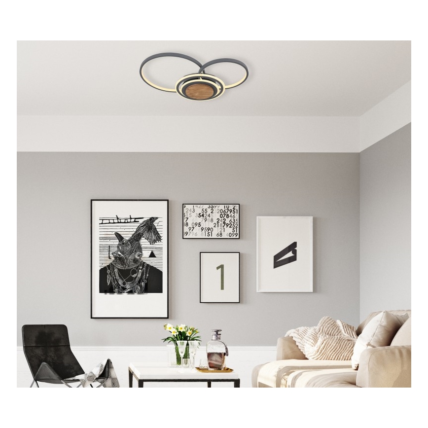 Globo - LED Stropna svetilka LED/40W/230V