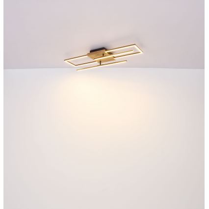 Globo - LED Stropna svetilka LED/18W/230V