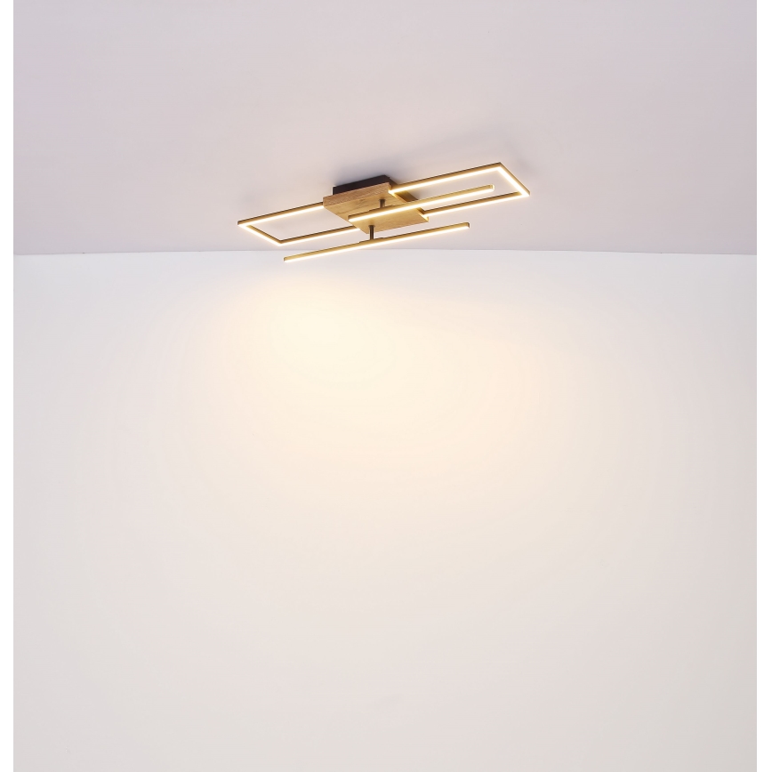 Globo - LED Stropna svetilka LED/18W/230V
