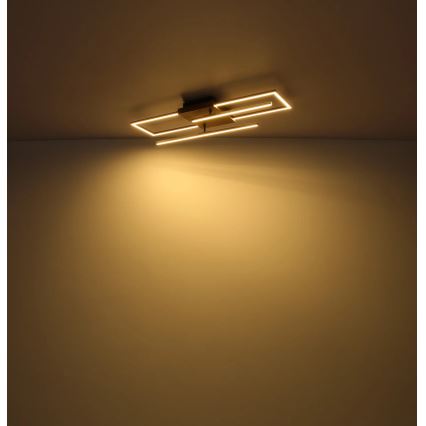Globo - LED Stropna svetilka LED/24W/230V 3000K 20x80 cm