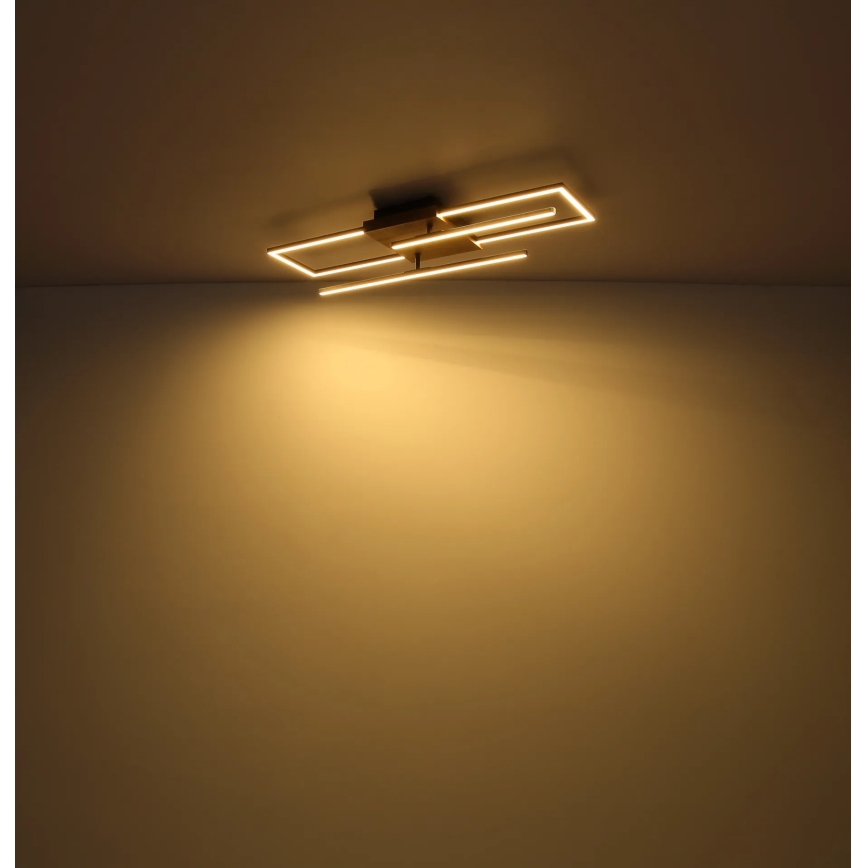 Globo - LED Stropna svetilka LED/24W/230V 3000K 20x80 cm