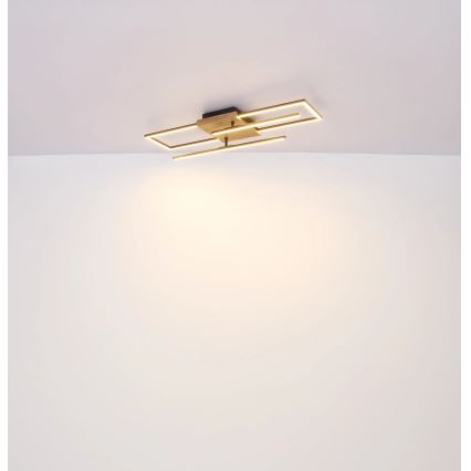 Globo - LED Stropna svetilka LED/24W/230V 3000K 20x80 cm