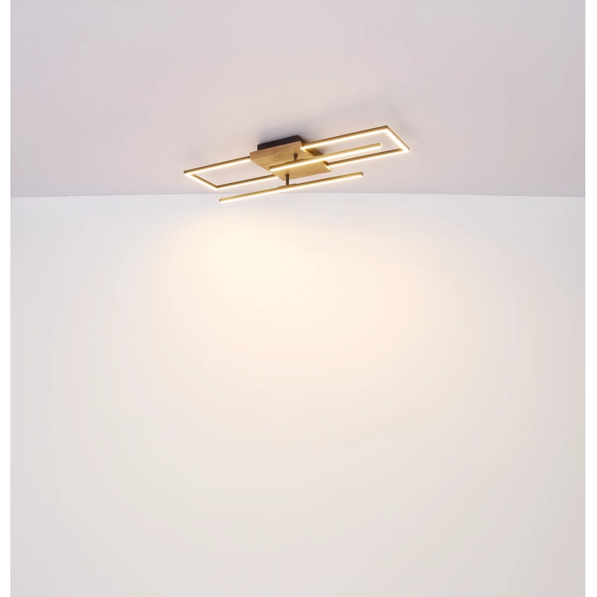 Globo - LED Stropna svetilka LED/24W/230V 3000K 20x80 cm