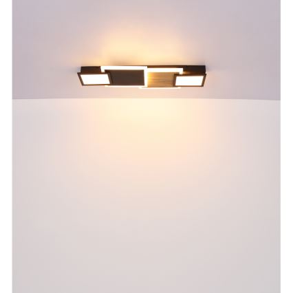 Globo 67279-30 - LED stropna svetilka CAROLINE LED/30W/230V 25x71,5 cm bežna/črna