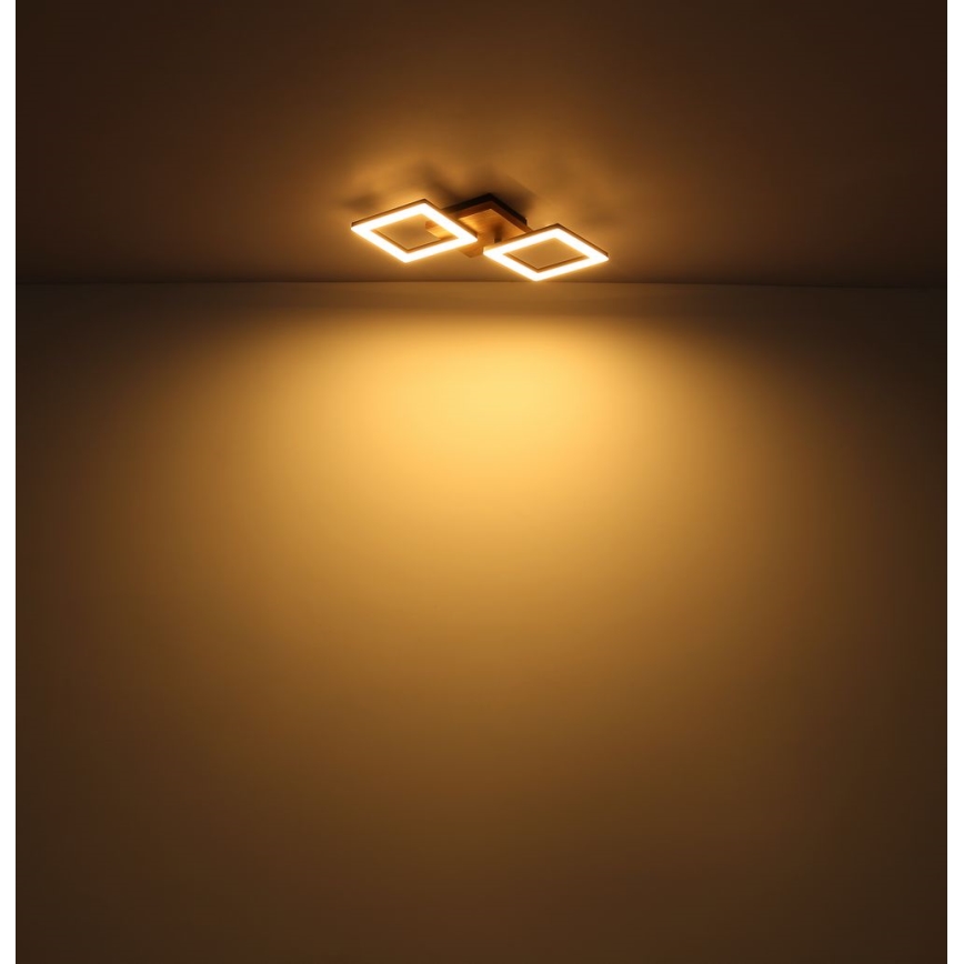 Globo - LED Lestenec LED/30W/230V