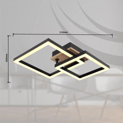 Globo - LED Stropna svetilka LED/15W/230V 3000K