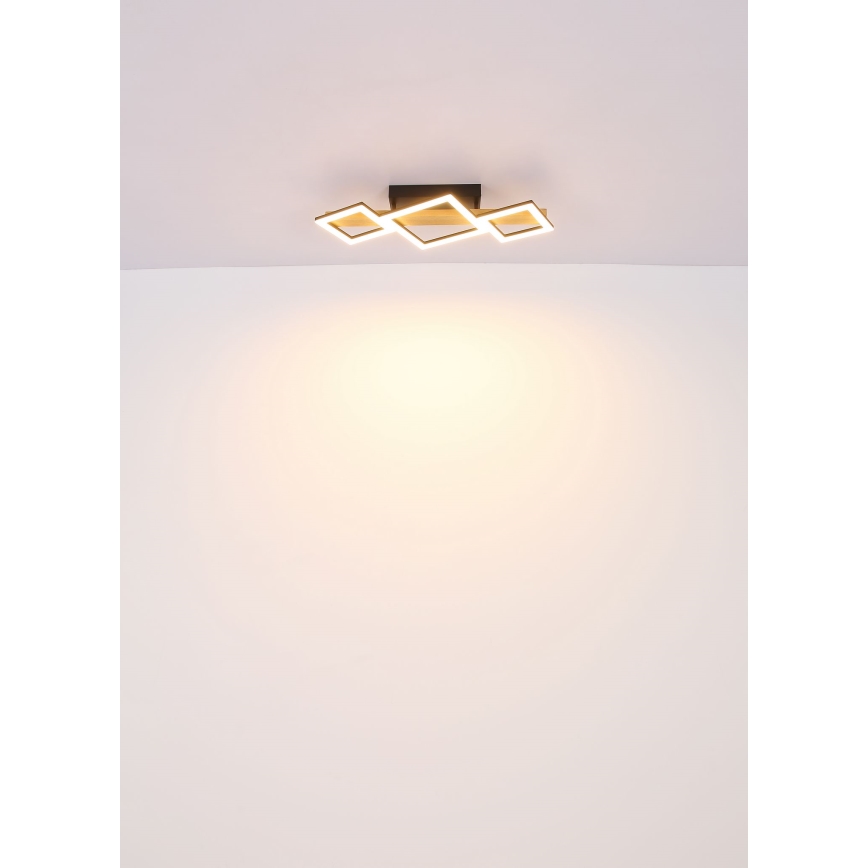 Globo - LED Stropna svetilka LED/29W/230V