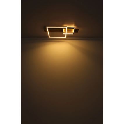 Globo 67289D1 - Stropna LED svetilka VANNI LED/24W/230V 40x75 cm rjava/črna