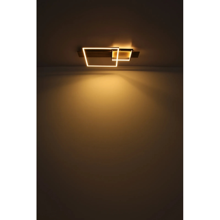 Globo 67289D1 - Stropna LED svetilka VANNI LED/24W/230V 40x75 cm rjava/črna