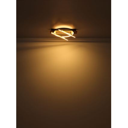 Globo - LED Stropna svetilka LED/32W/230V