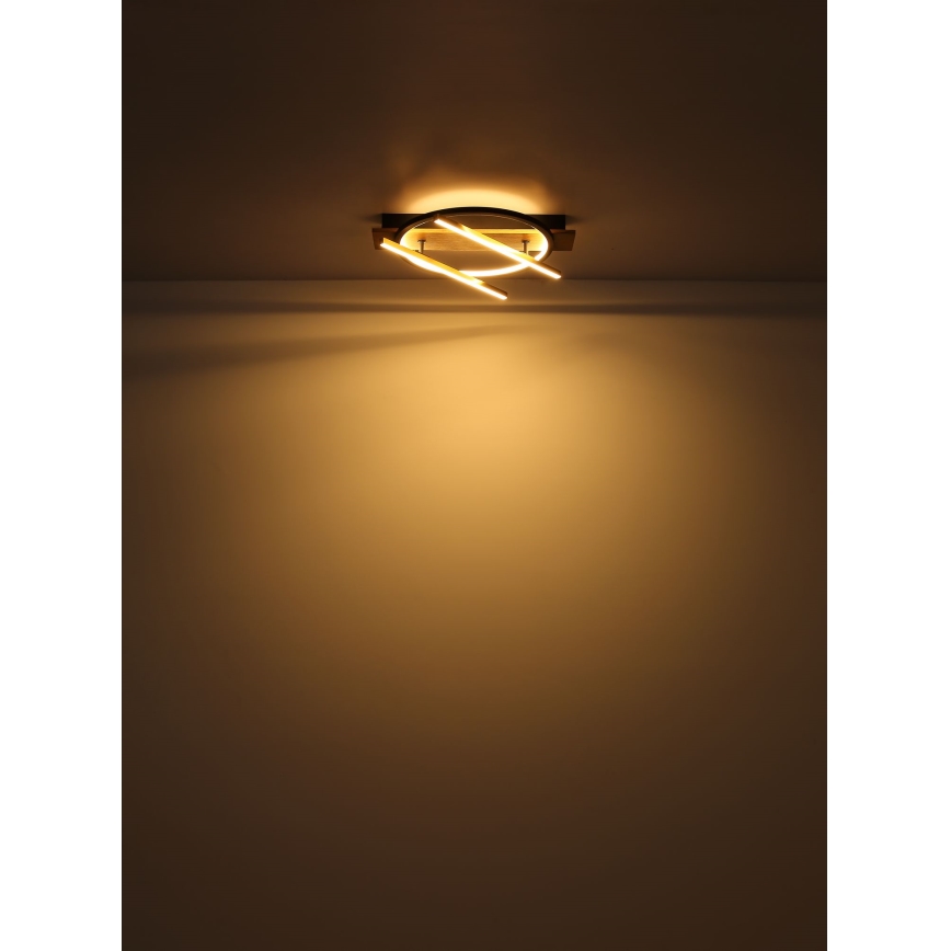 Globo - LED Stropna svetilka LED/32W/230V
