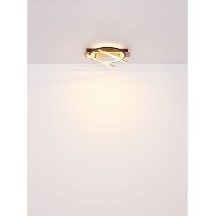 Globo - LED Stropna svetilka LED/32W/230V