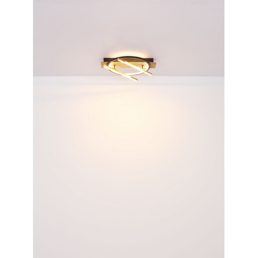 Globo - LED Stropna svetilka LED/32W/230V