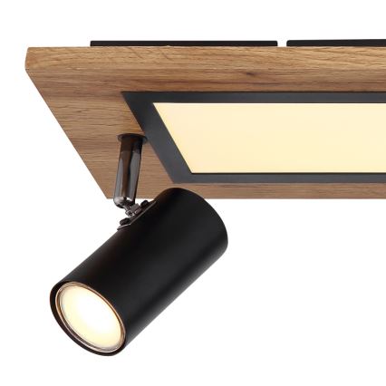 Globo - LED Reflektor LED/24W/230V + 3xGU10/5W