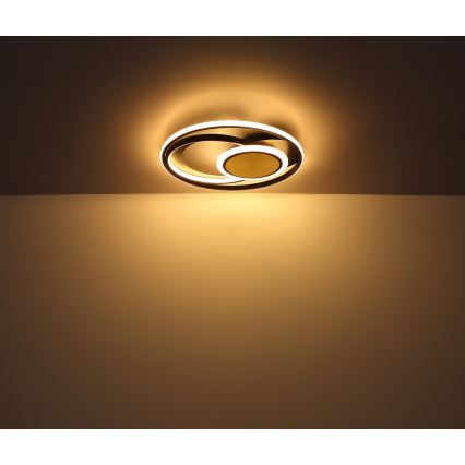 Globo - LED Stropna svetilka LED/24W/230V