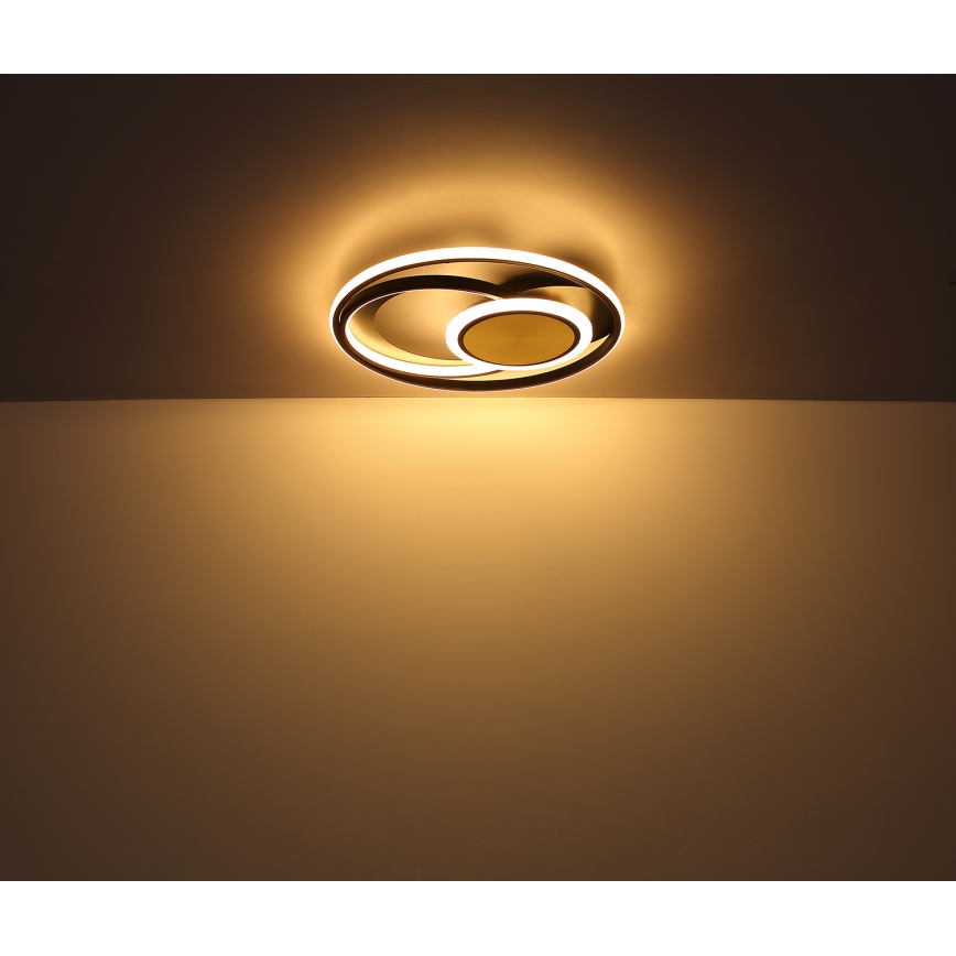 Globo - LED Stropna svetilka LED/24W/230V