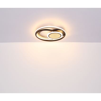 Globo - LED Stropna svetilka LED/24W/230V