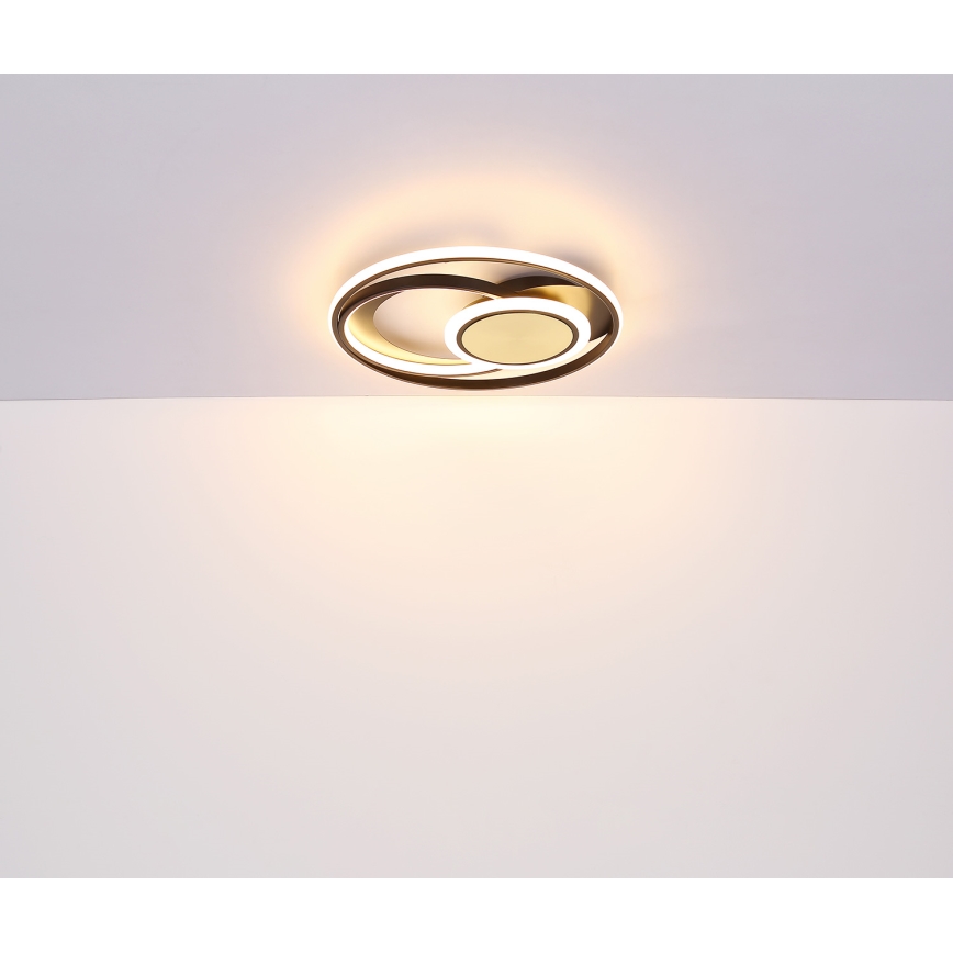 Globo - LED Stropna svetilka LED/24W/230V