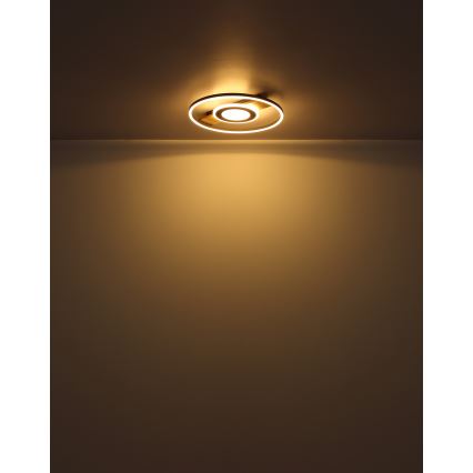 Globo - LED Stropna svetilka LED/24W/230V