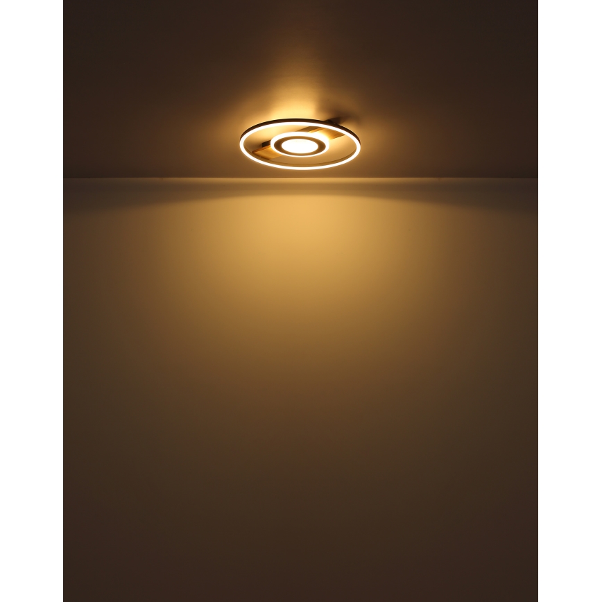 Globo - LED Stropna svetilka LED/24W/230V