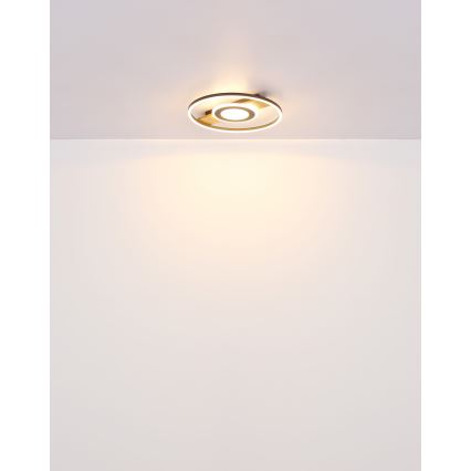 Globo - LED Stropna svetilka LED/24W/230V