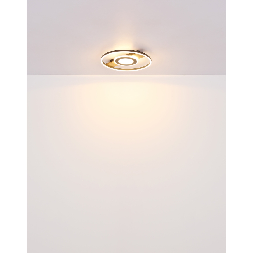 Globo - LED Stropna svetilka LED/24W/230V