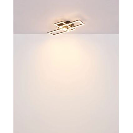 Globo - LED Stropna svetilka LED/24W/230V