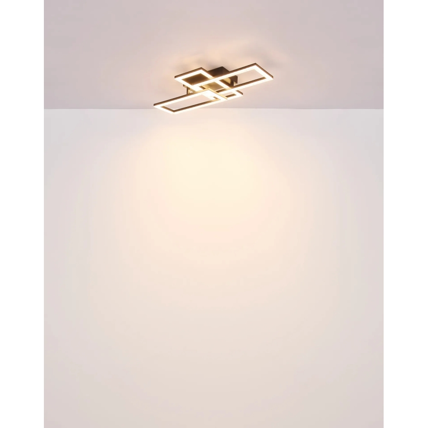 Globo - LED Stropna svetilka LED/24W/230V