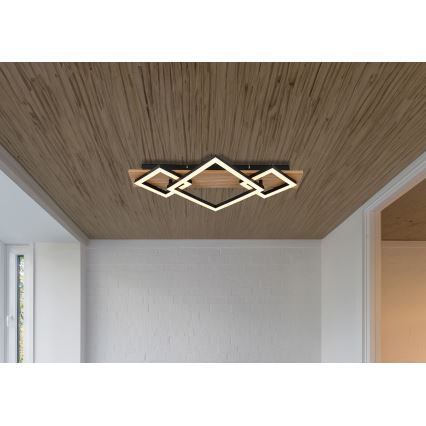 Globo - LED Stropna svetilka LED/24W/230V