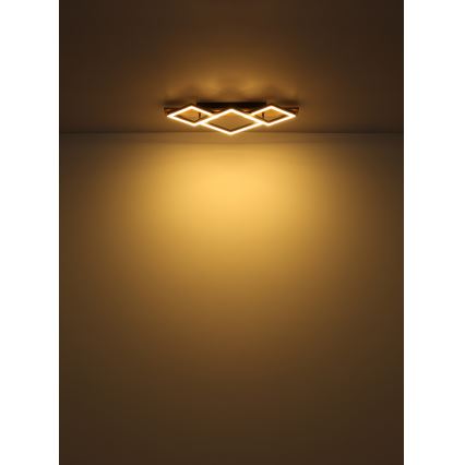 Globo - LED Stropna svetilka LED/24W/230V