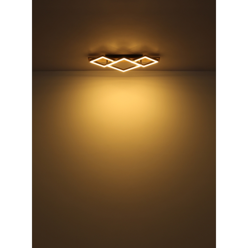 Globo - LED Stropna svetilka LED/24W/230V