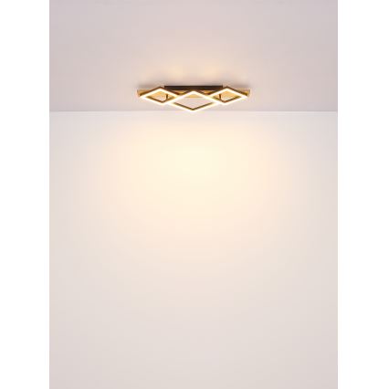 Globo - LED Stropna svetilka LED/24W/230V