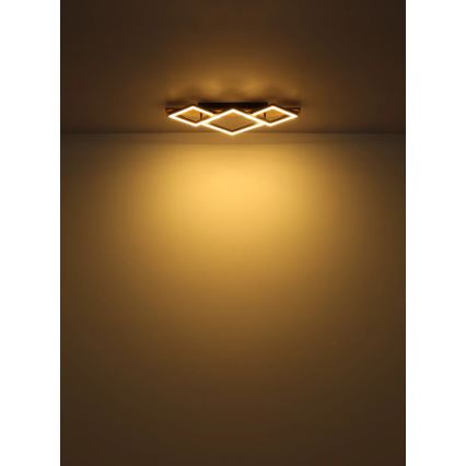 Globo - LED Stropna svetilka LED/24W/230V