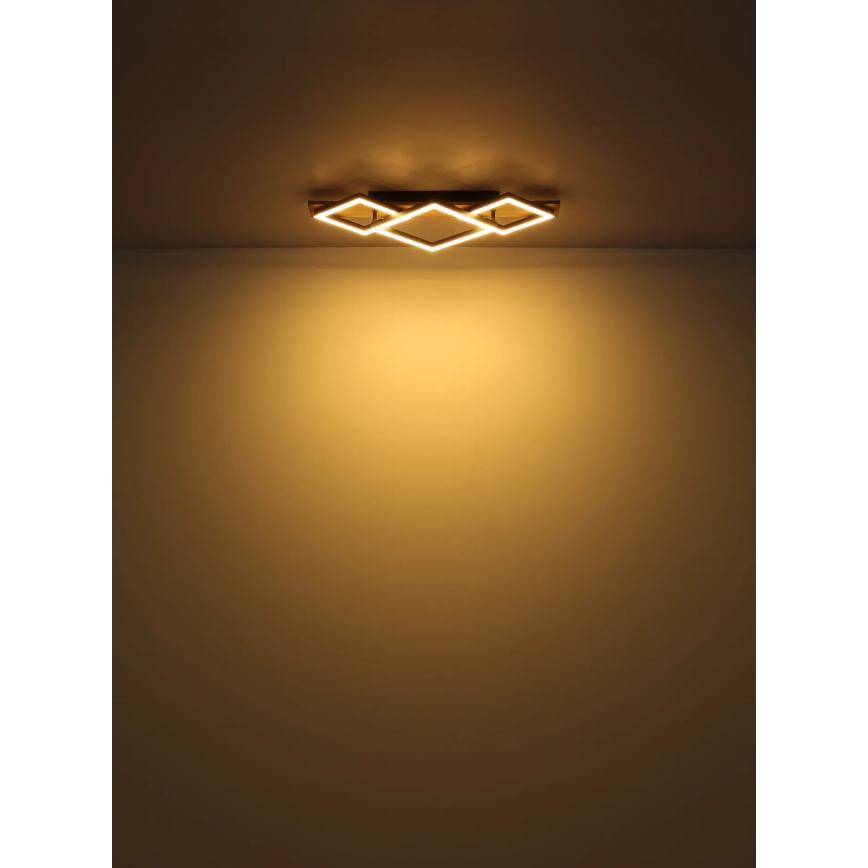 Globo - LED Stropna svetilka LED/24W/230V